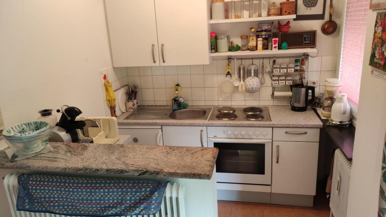 Alpenappartements Domicil Include Jokercard 잘바흐 힌터글렘 외부 사진